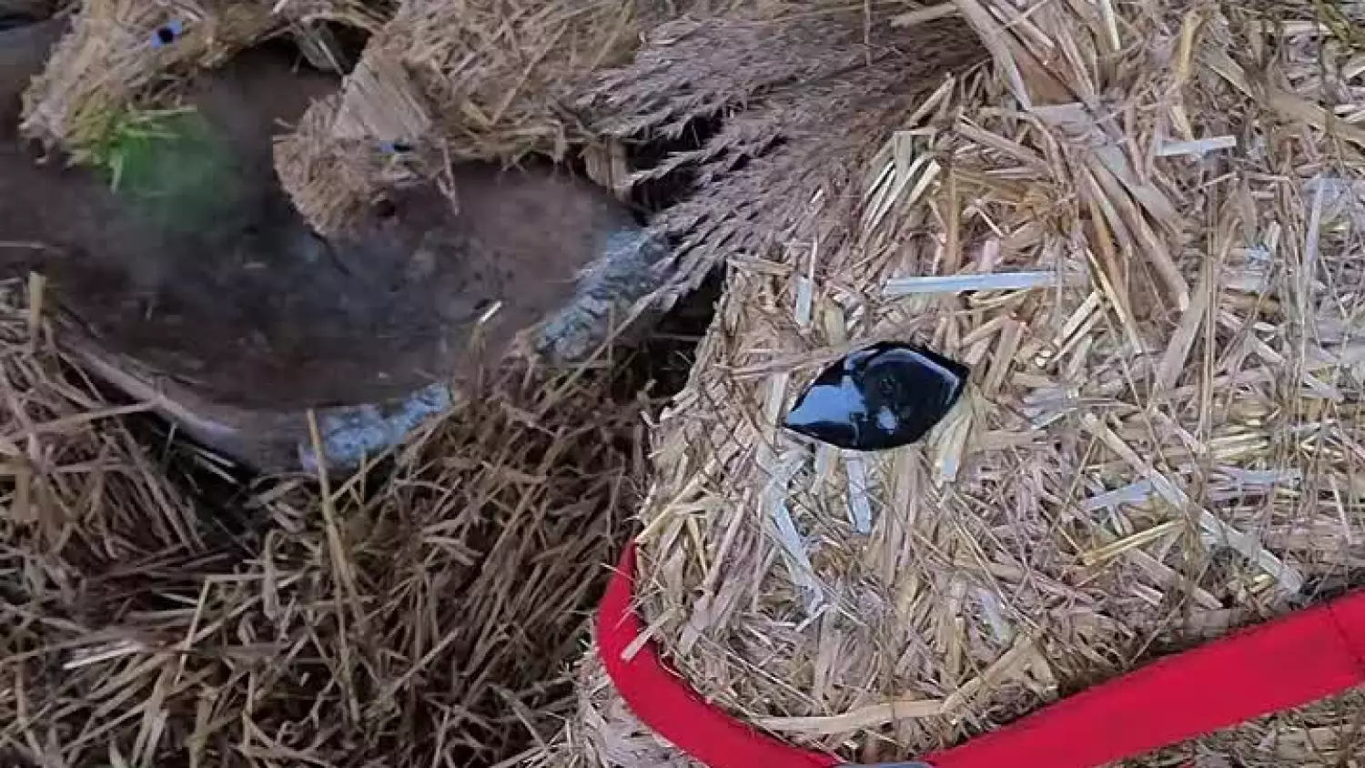 Szopka Bożonarodzeniowa